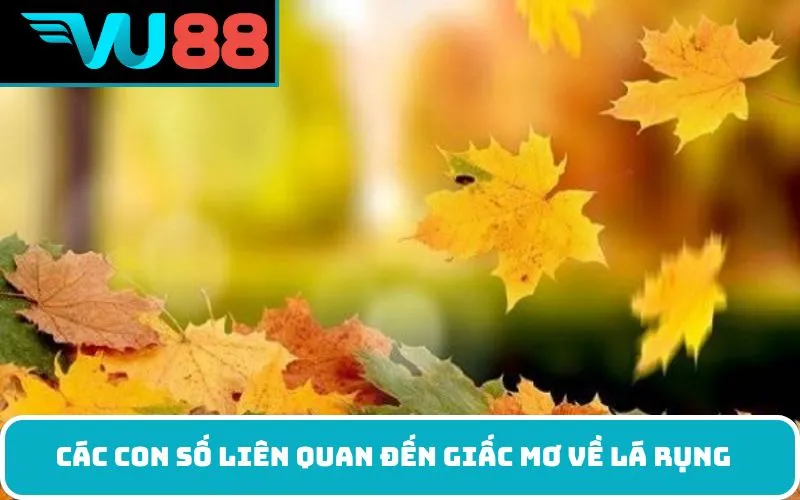 Các con số liên quan đến giấc mơ về lá rụng