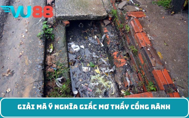Giải mã ý nghĩa giấc mơ thấy cống rãnh