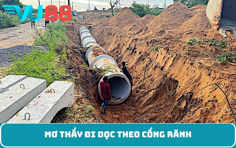 Mơ thấy đi dọc theo cống rãnh
