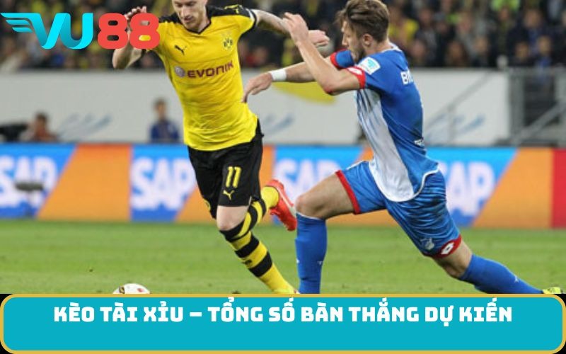 Kèo Tài Xỉu – Tổng số bàn thắng dự kiến