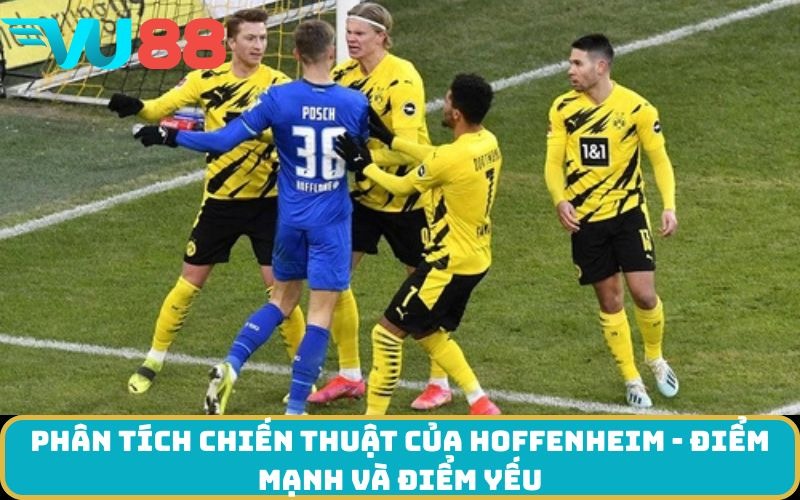 Phân tích chiến thuật của Hoffenheim - điểm mạnh và điểm yếu