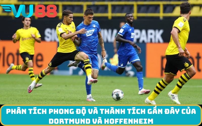 Phân tích phong độ và thành tích gần đây của Dortmund và Hoffenheim