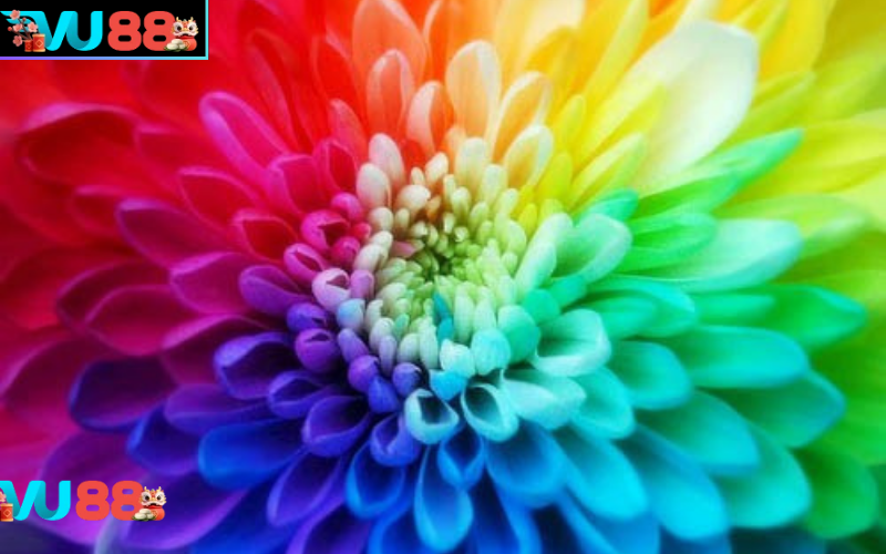 Mơ thấy nhiều màu sắc đánh số nào may mắn?