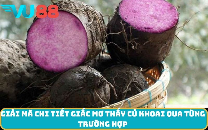 Giải mã chi tiết giấc Mơ thấy Củ khoai qua từng trường hợp