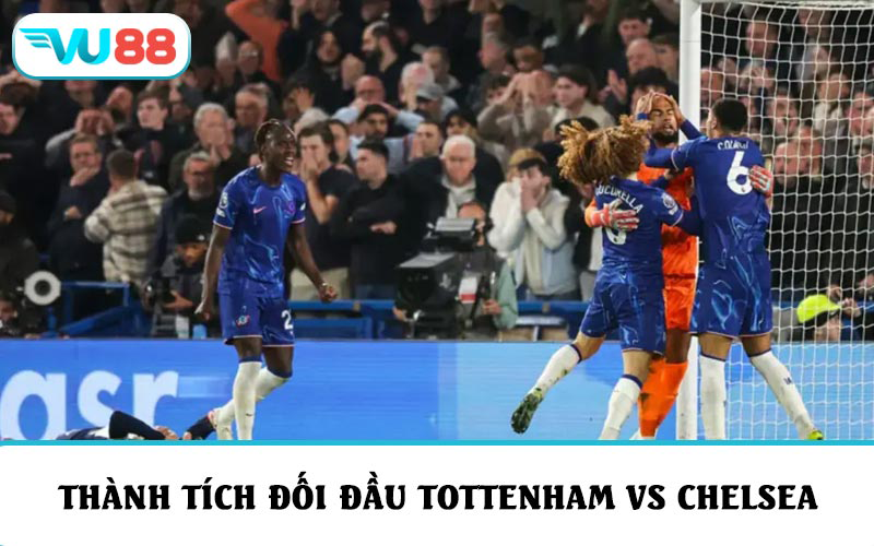 Khám phá thành tích đối đầu “derby London” giữa Tottenham vs Chelsea