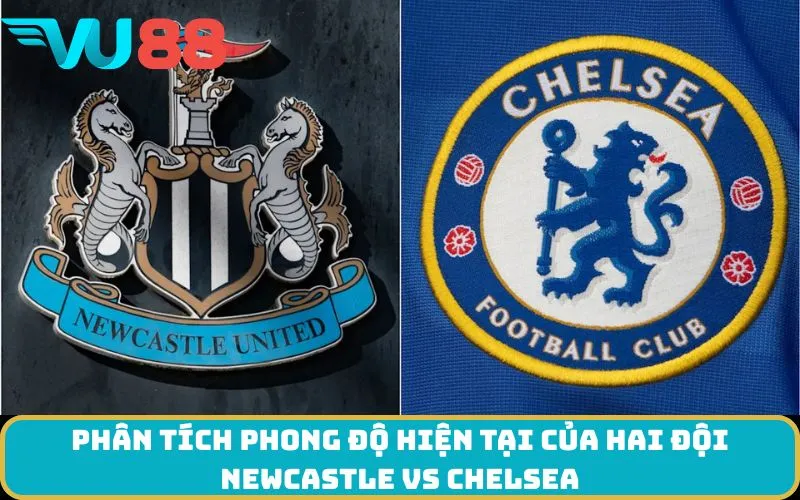 Phân tích phong độ hiện tại của hai đội Newcastle Vs Chelsea