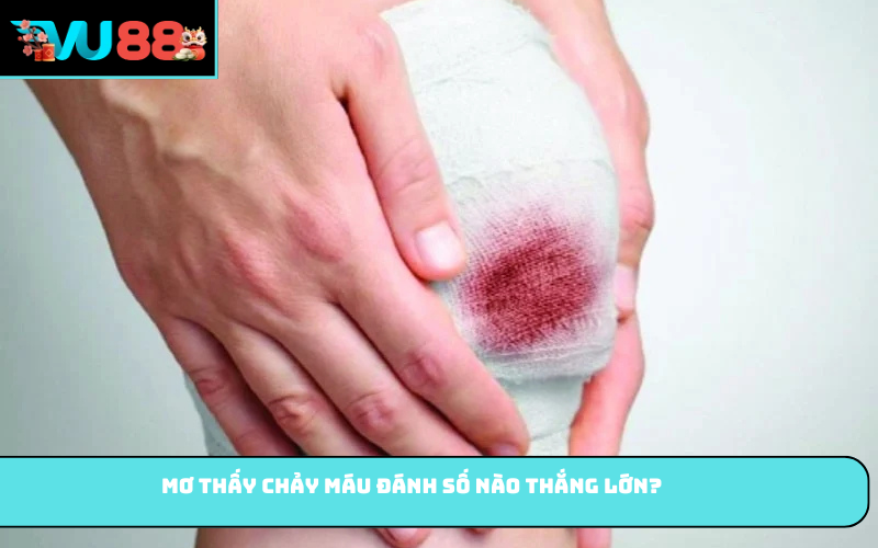 Mơ thấy chảy máu đánh số nào thắng lớn?