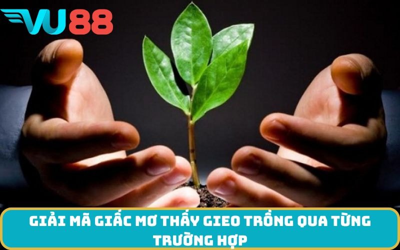 Giải mã giấc Mơ thấy Gieo trồng qua từng trường hợp