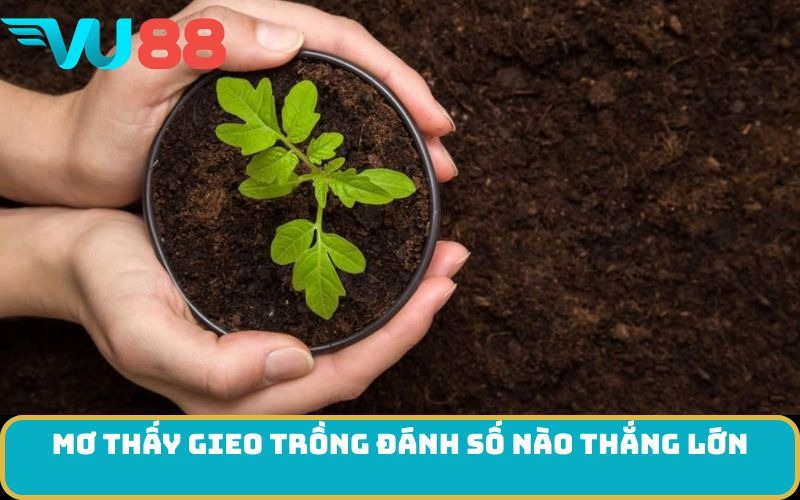 Mơ thấy Gieo trồng đánh số nào thắng lớn