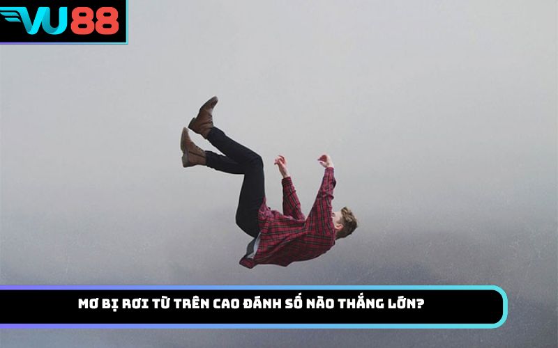 Mơ bị rơi từ trên cao đánh số nào thắng lớn?