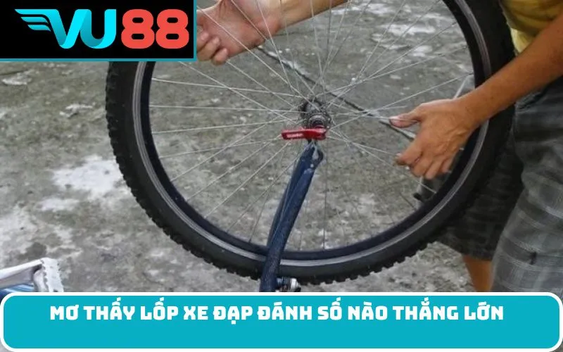 Mơ thấy lốp xe đạp đánh số nào thắng lớn