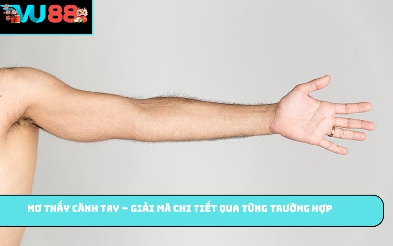 Mơ thấy cánh tay – Giải mã chi tiết qua từng trường hợp