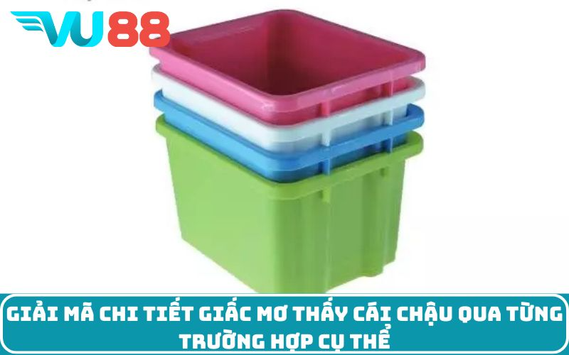 Giải mã chi tiết giấc mơ thấy cái chậu qua từng trường hợp cụ thể