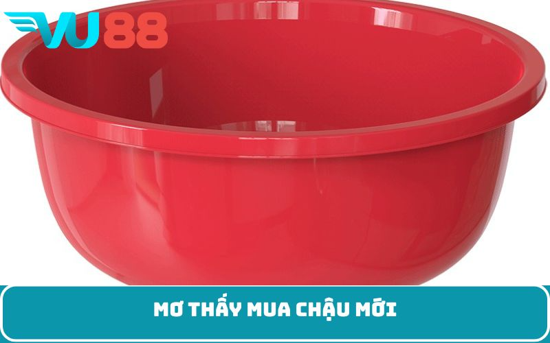 Mơ thấy mua chậu mới