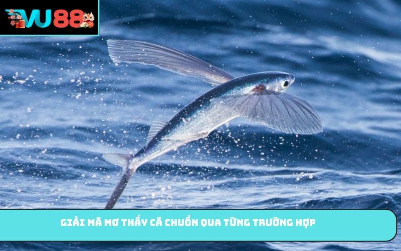 Giải mã mơ thấy cá chuồn qua từng trường hợp