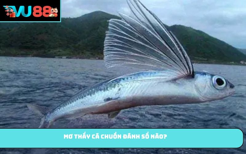 Mơ thấy cá chuồn đánh số nào?