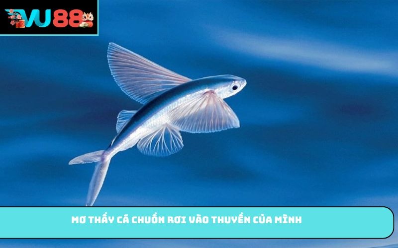 Mơ thấy cá chuồn rơi vào thuyền của mình