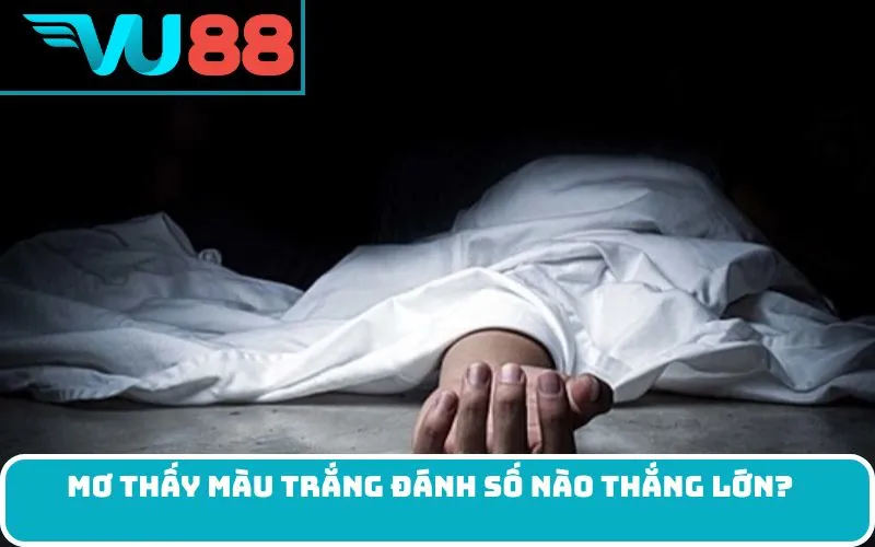 Mơ thấy màu trắng đánh số nào thắng lớn?