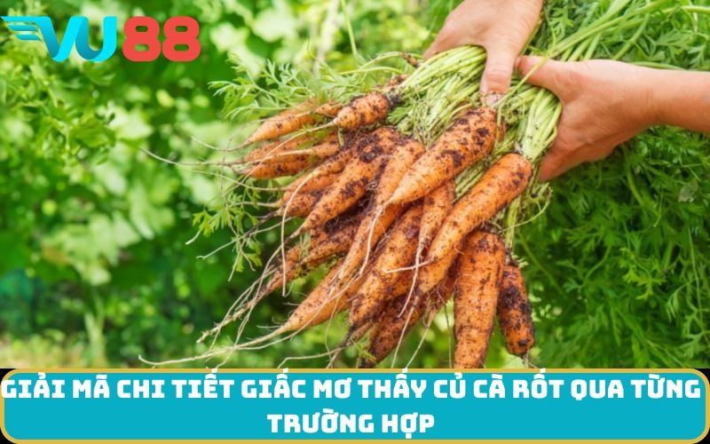 Giải mã chi tiết giấc Mơ thấy Củ cà rốt qua từng trường hợp