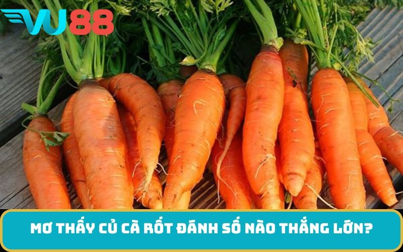Mơ thấy Củ cà rốt đánh số nào thắng lớn?