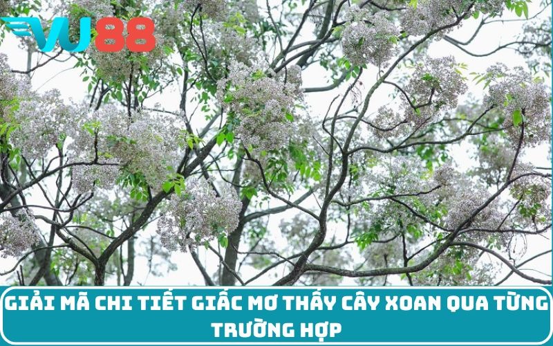 Giải mã chi tiết giấc mơ thấy cây xoan qua từng trường hợp