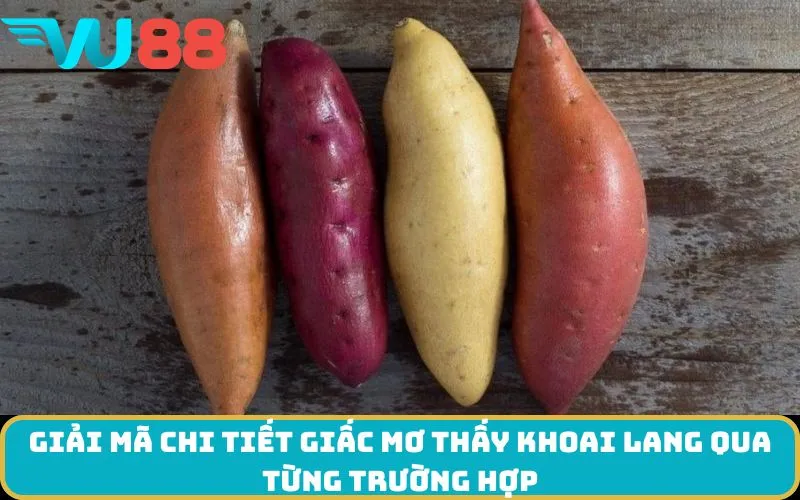 Giải mã chi tiết giấc Mơ thấy Khoai lang qua từng trường hợp