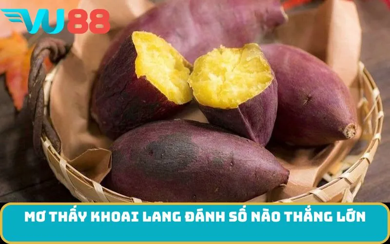 Mơ thấy Khoai lang đánh số nào thắng lớn