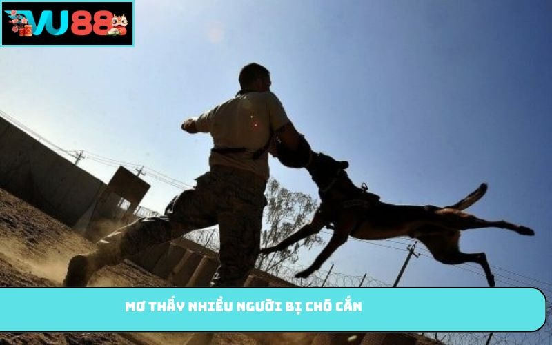 Mơ thấy nhiều người bị chó cắn