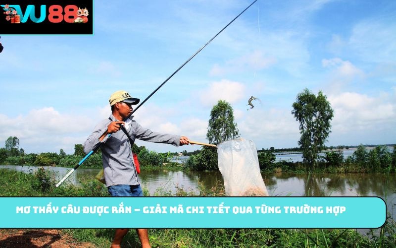 Mơ thấy câu được rắn – Giải mã chi tiết qua từng trường hợp