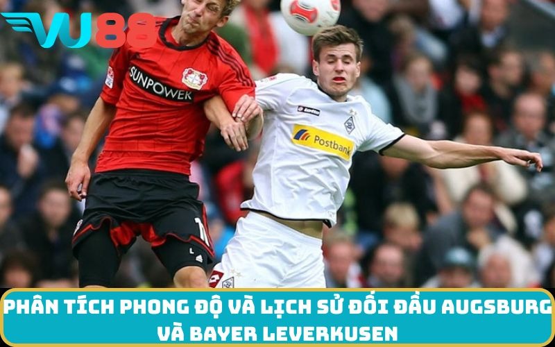 Phân tích phong độ và lịch sử đối đầu Augsburg và Bayer Leverkusen