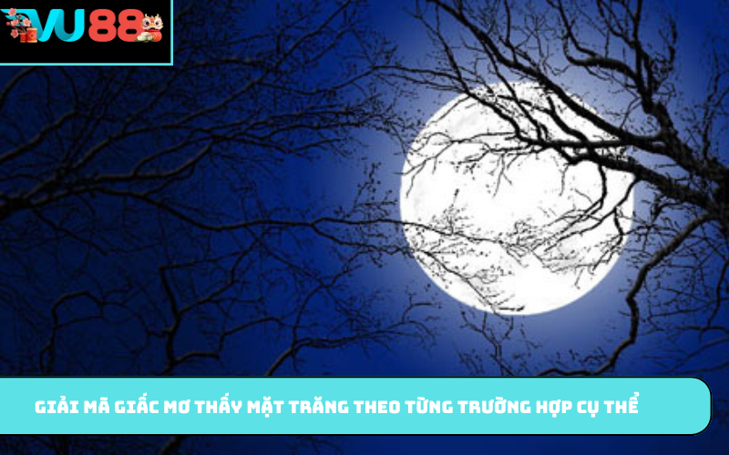 Giải mã giấc mơ thấy mặt trăng theo từng trường hợp cụ thể