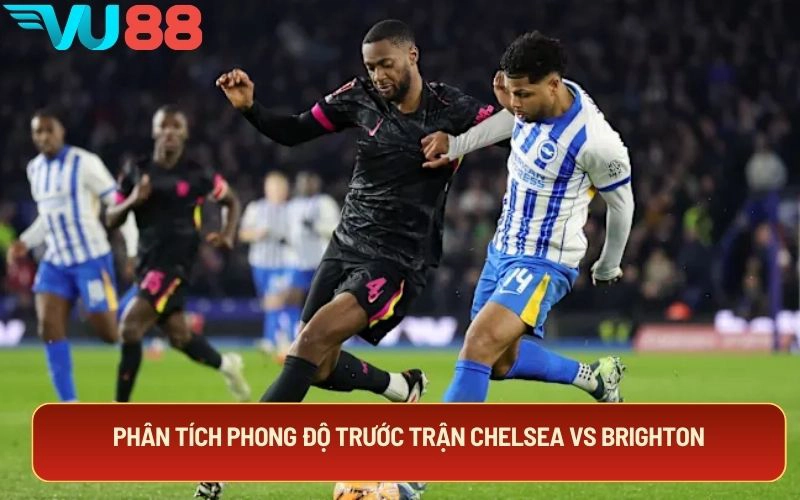 Phân tích phong độ trước trận Chelsea vs Brighton