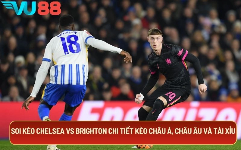 Soi kèo Chelsea Vs Brighton chi tiết kèo châu Á, châu Âu và tài xỉu