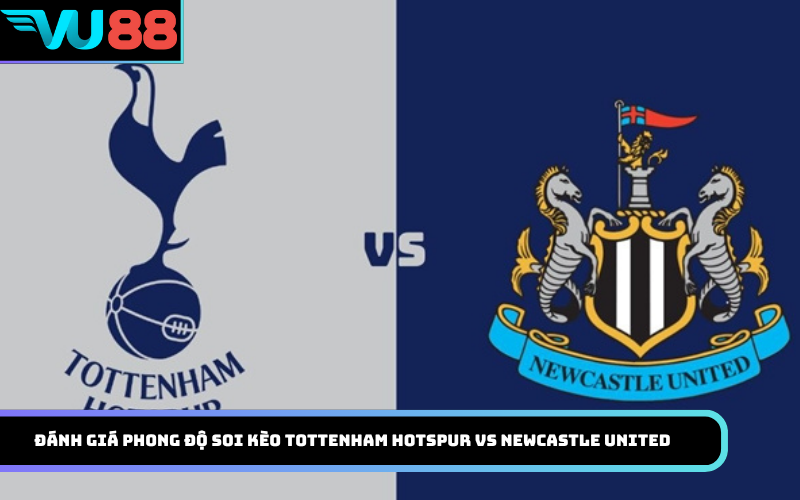 Đánh giá phong độ soi kèo Tottenham Hotspur vs Newcastle United