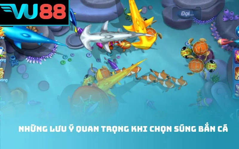 Những lưu ý quan trọng khi chọn súng bắn cá