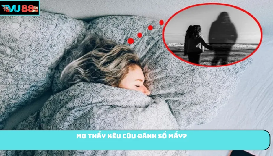 VU88 Mơ Thấy Kêu Cứu Là Điềm Gì? Giải Mã Chi Tiết Giấc Mơ Kêu Cứu