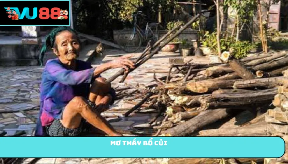 VU88 Mơ Thấy Bổ Củi - Giải Mã Điềm Báo Cùng Con Số Tài Lộc