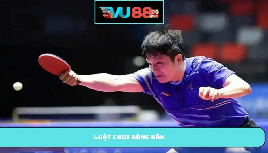 VU88 Luật Chơi Bóng Bàn – Hướng Dẫn Chi Tiết Cho Người Mới