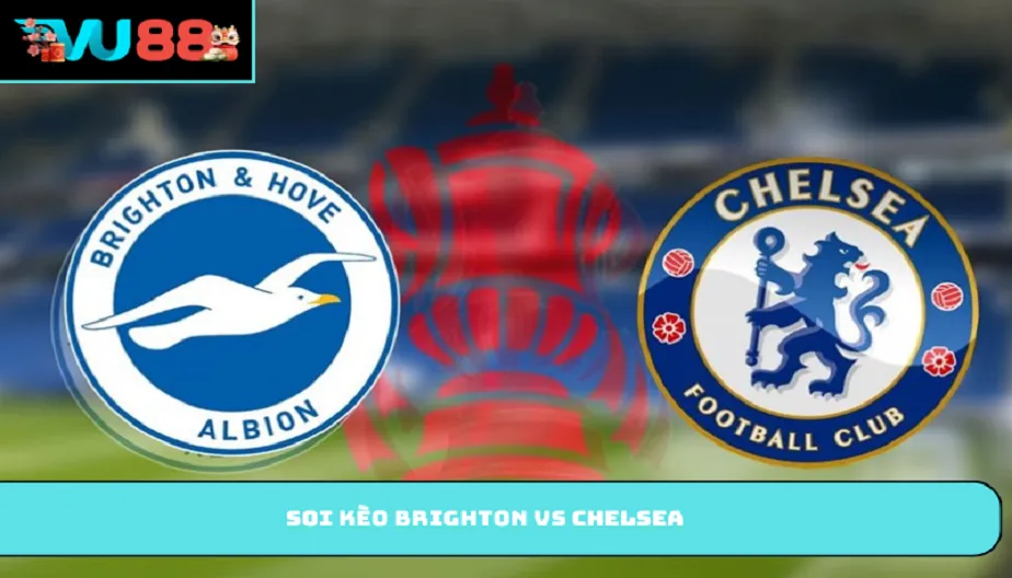 VU88 Soi Kèo Brighton Vs Chelsea Lúc 02h00 Ngày 22/04/2026