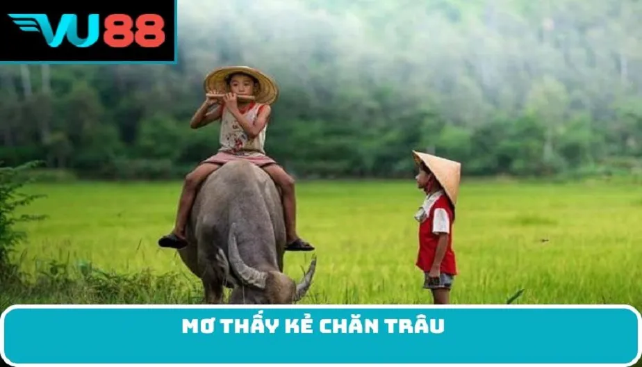 VU88 Giải Mã Giấc Mơ Thấy Kẻ Chăn Trâu - Điềm Báo Và Số May Mắn