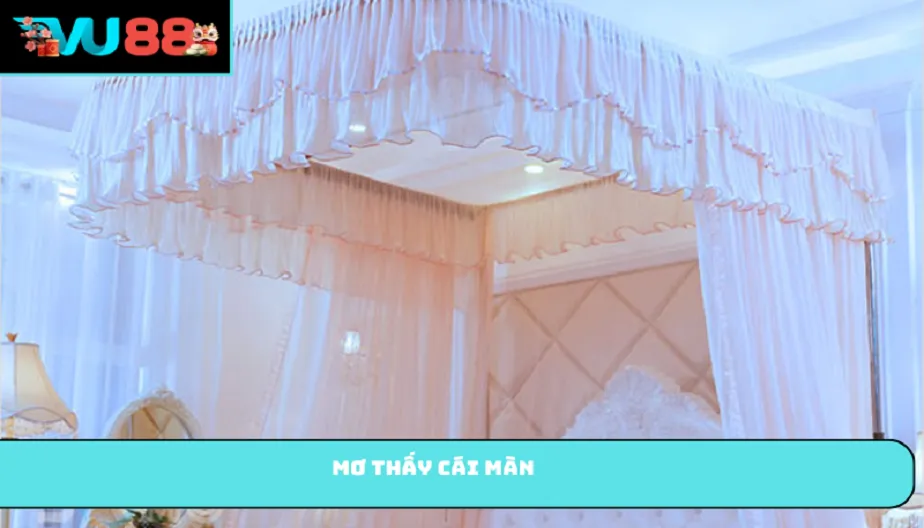 VU88 Mơ Thấy Cái Màn Và Các Điềm Báo Về Tương Lai Bạn Nên Biết