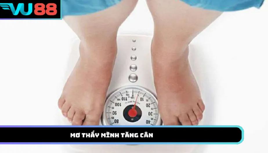 VU88 Mơ Thấy Mình Tăng Cân Báo Hiệu Điều Gì Trong Tương Lai?