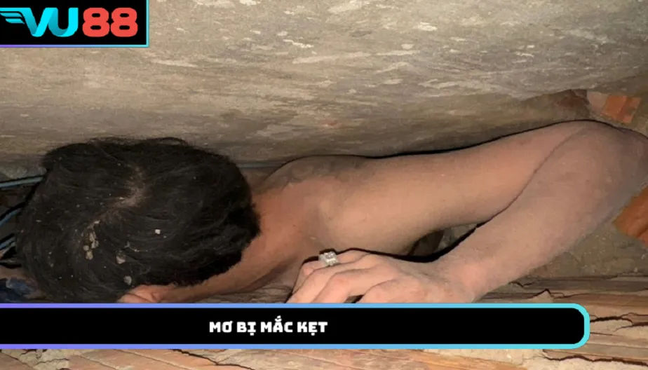 VU88 Mơ Bị Mắc Kẹt Đánh Số Gì? Giải Mã Theo Từng Trường Hợp