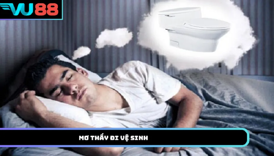 VU88 Mơ Thấy Đi Vệ Sinh Cùng Những Điềm Báo Bạn Nên Biết