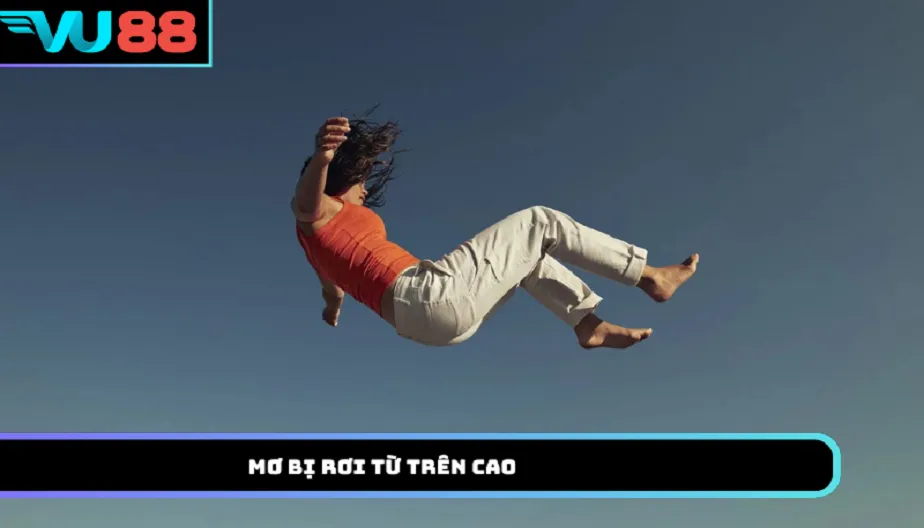 VU88 Mơ Bị Rơi Từ Trên Cao Báo Hiệu Điều Gì Trong Tương Lai?