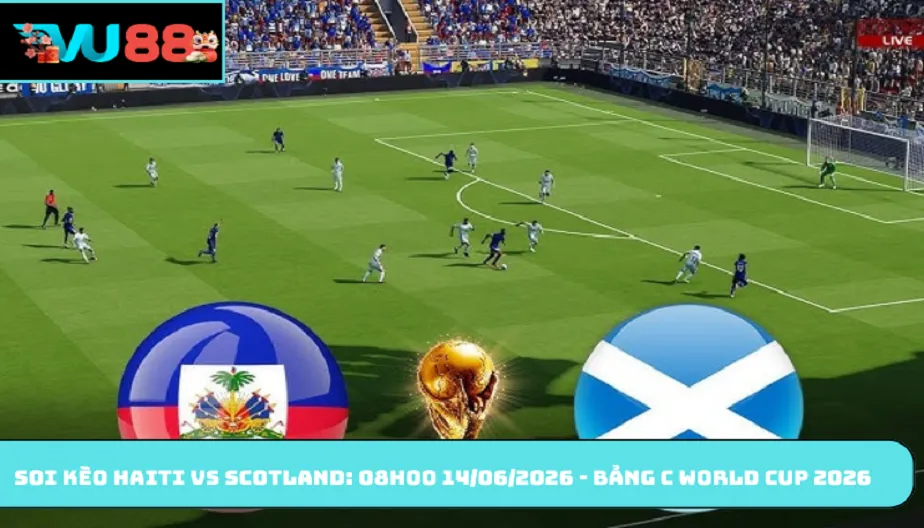 VU88 Soi Kèo Haiti Vs Scotland: 08h00 14/06/2026 - Bảng C WC 2026