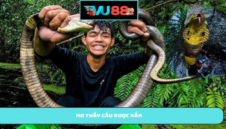 VU88 Mơ Thấy Câu Được Rắn - Giải Mã Chi Tiết Và Con Số May Mắn