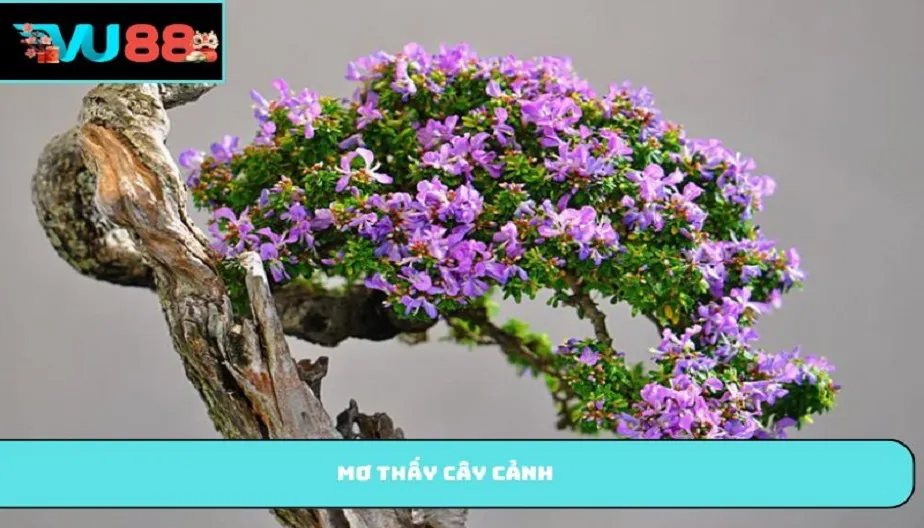 VU88 Mơ Thấy Cây Cảnh - Giải Mã Chi Tiết Và Con Số May Mắn