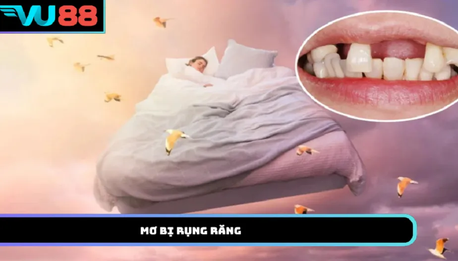 VU88 Mơ Bị Rụng Răng Mang Điềm Báo Gì Cho Thời Gian Tới?