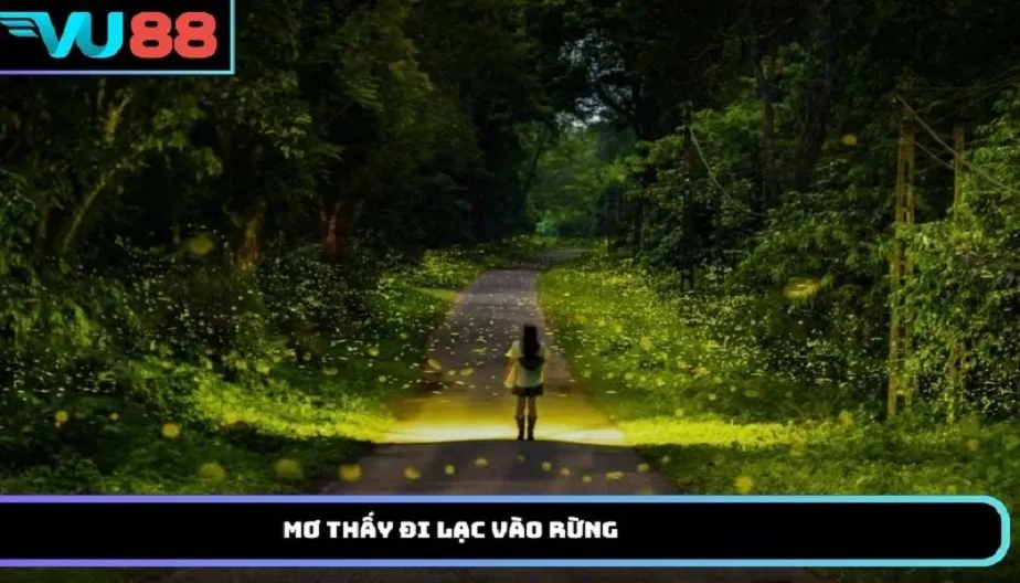 VU88 Mơ Thấy Đi Lạc Vào Rừng Điềm Báo Gì? Giải Mã Chi Tiết